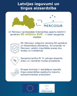 ES-Mercosur nolīguma inforgrafika 4