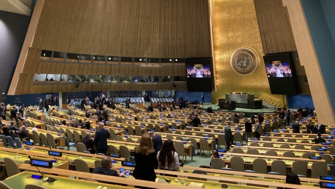 ANO Ģenerālā asambleja