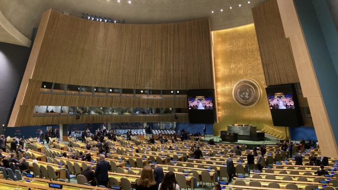 ANO Ģenerālā asambleja