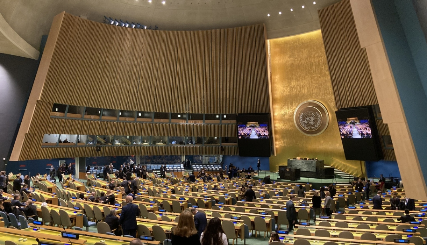 ANO Ģenerālā asambleja