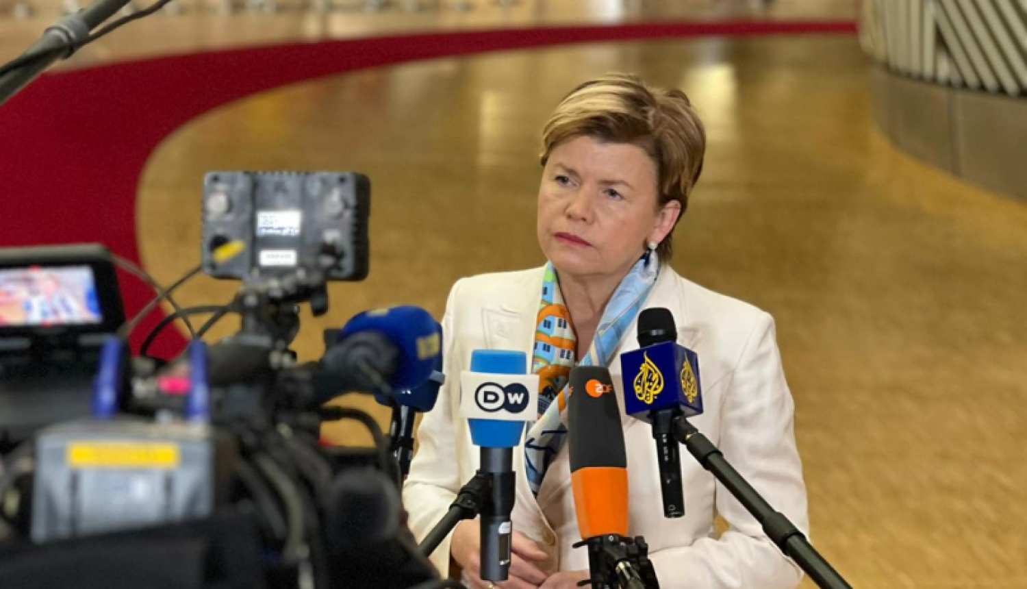 Baiba Braže uzrunā medijus pirms sanāksmes